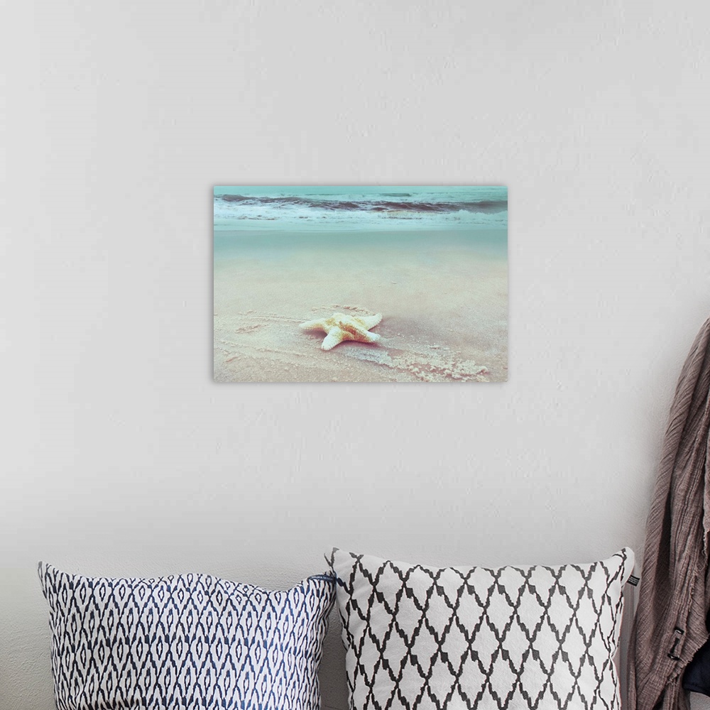 A bohemian room featuring A photo of a single starfish settled on a sandy beach with a gradated blue overlay over rolling w...