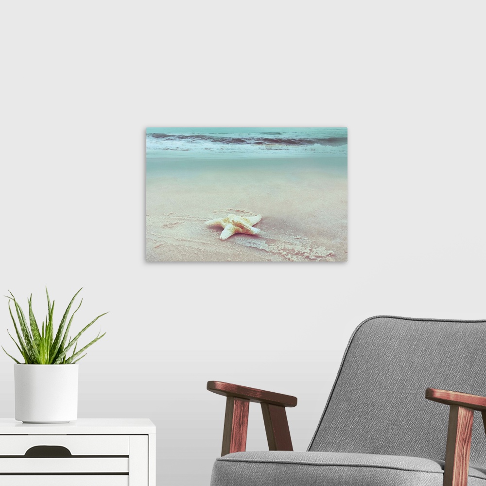 A modern room featuring A photo of a single starfish settled on a sandy beach with a gradated blue overlay over rolling w...