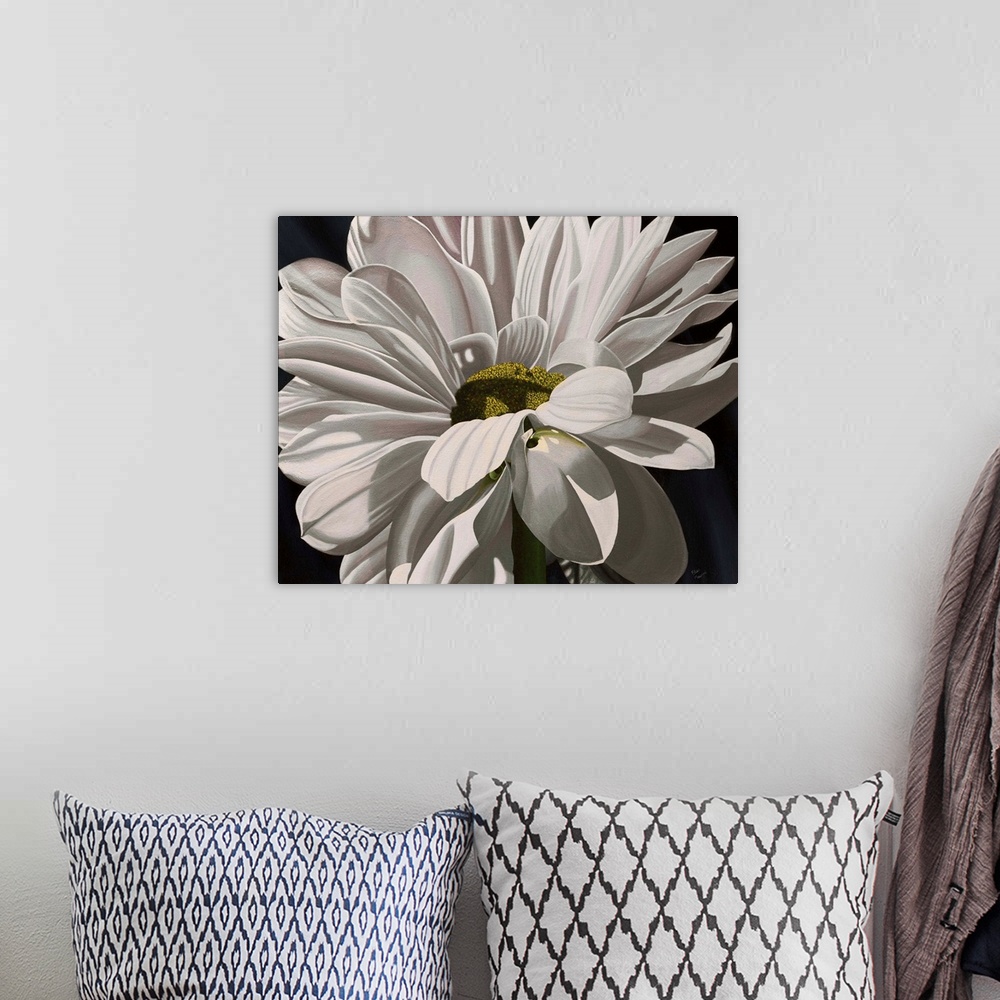 A bohemian room featuring Contemporary painting of a close-up of a daisy against a black background.