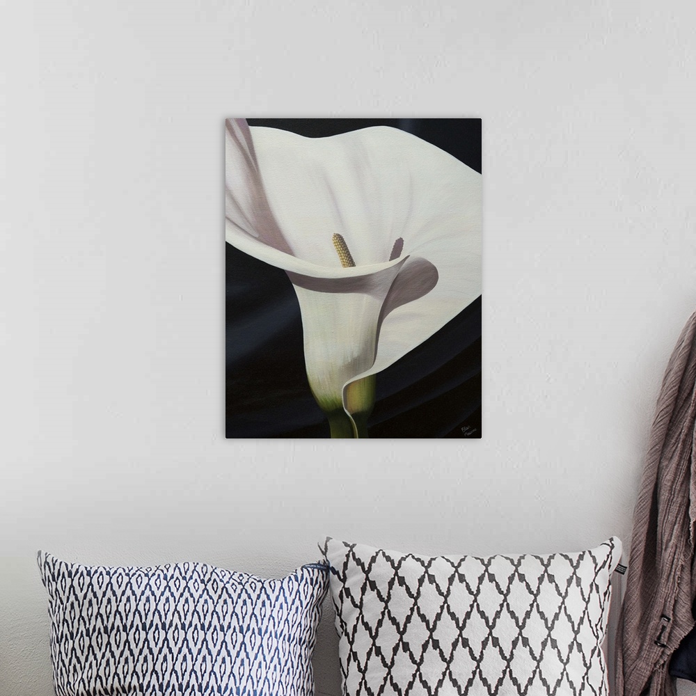 A bohemian room featuring Contemporary painting of a close-up of a calla lily against a black background.