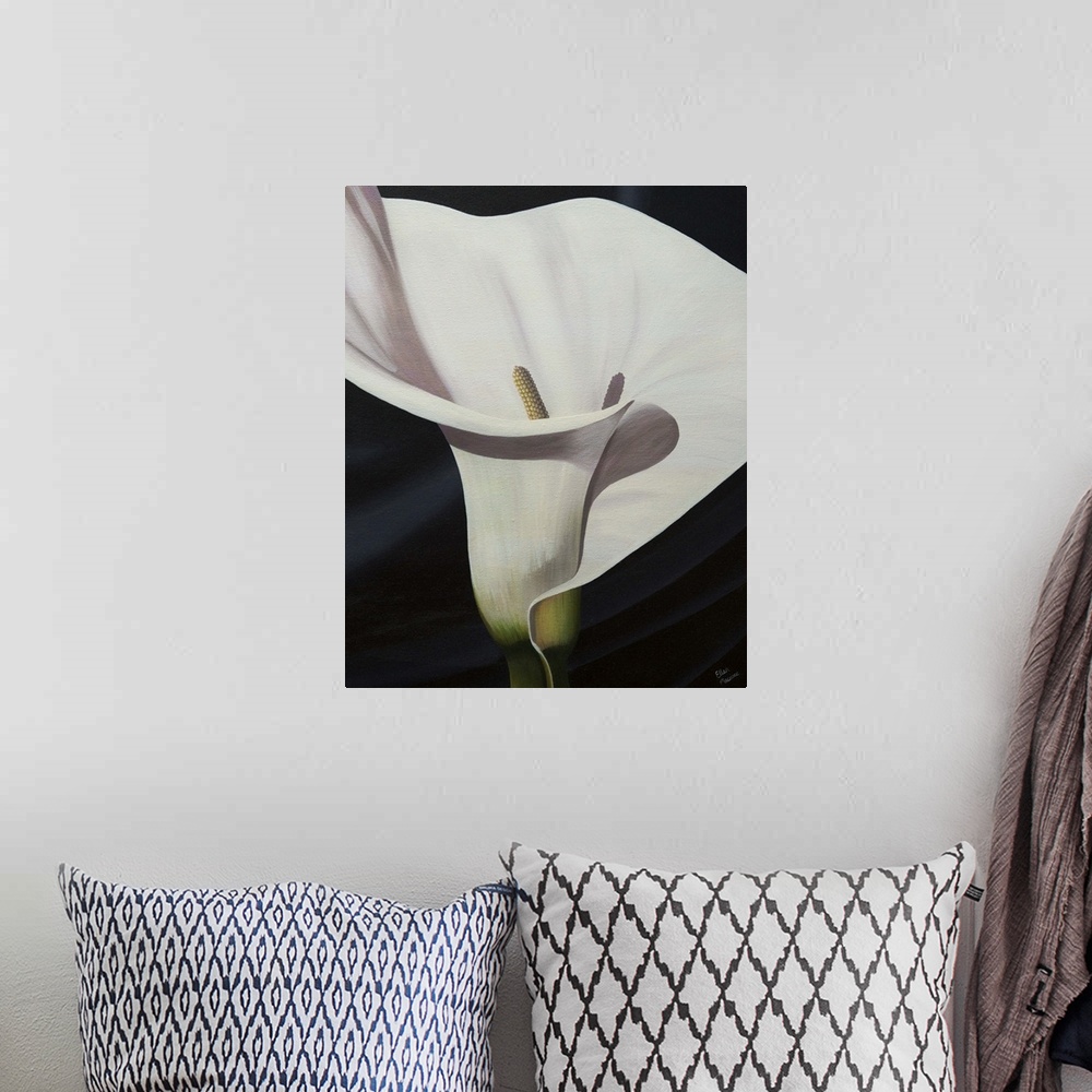 A bohemian room featuring Contemporary painting of a close-up of a calla lily against a black background.