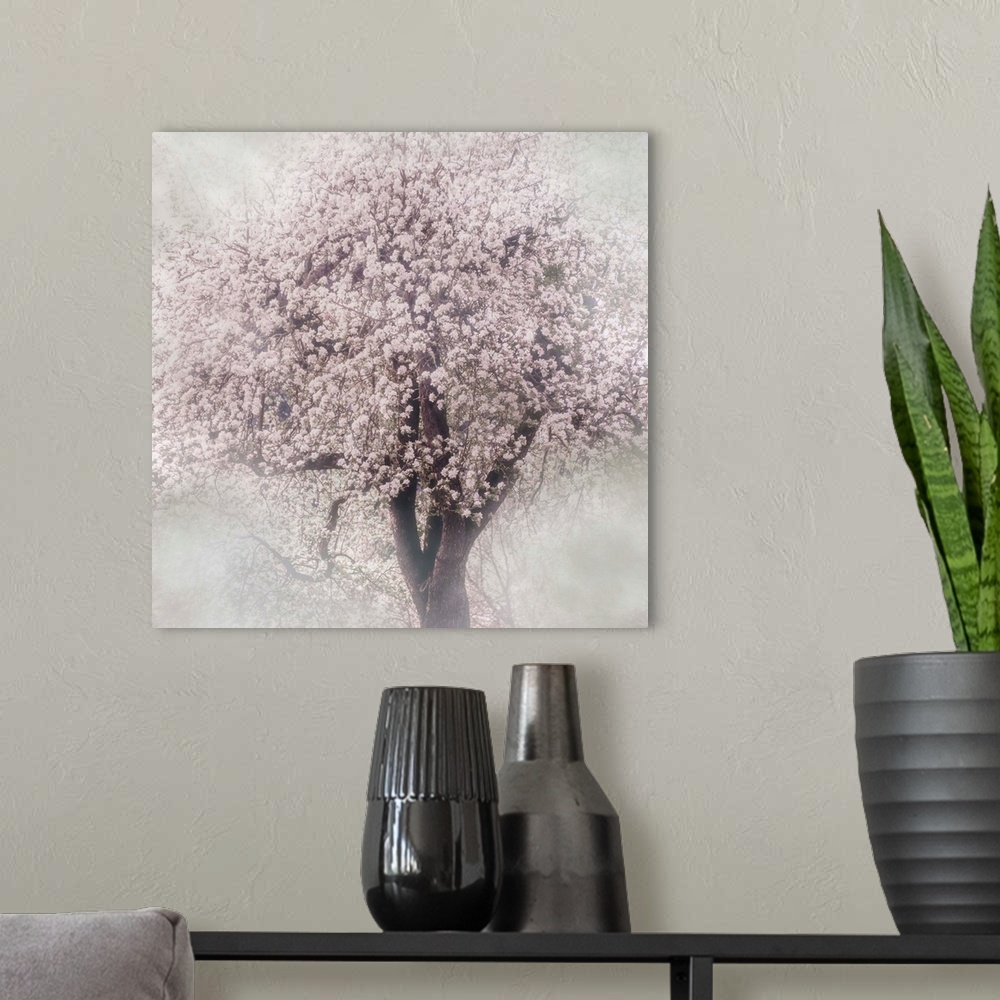 A modern room featuring Photograph of a blooming cherry tree with a soft focus vignette on the edges.