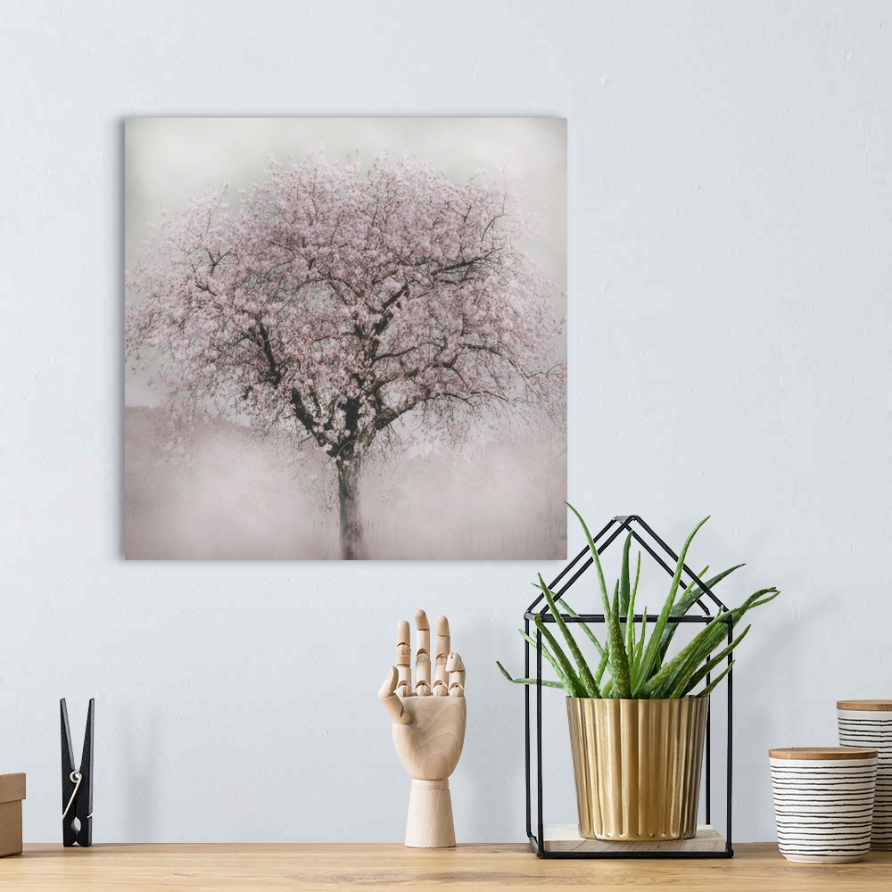 A bohemian room featuring Photograph of a blooming cherry tree with a soft focus vignette on the edges