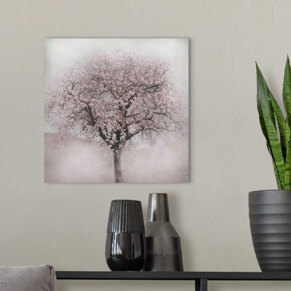 A modern room featuring Photograph of a blooming cherry tree with a soft focus vignette on the edges