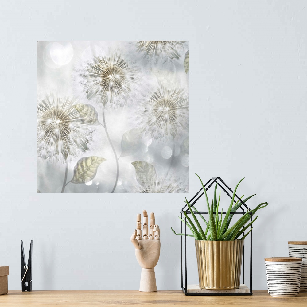 A bohemian room featuring A ethereal photo of dandelions against a light gray background with lens flares throughout.