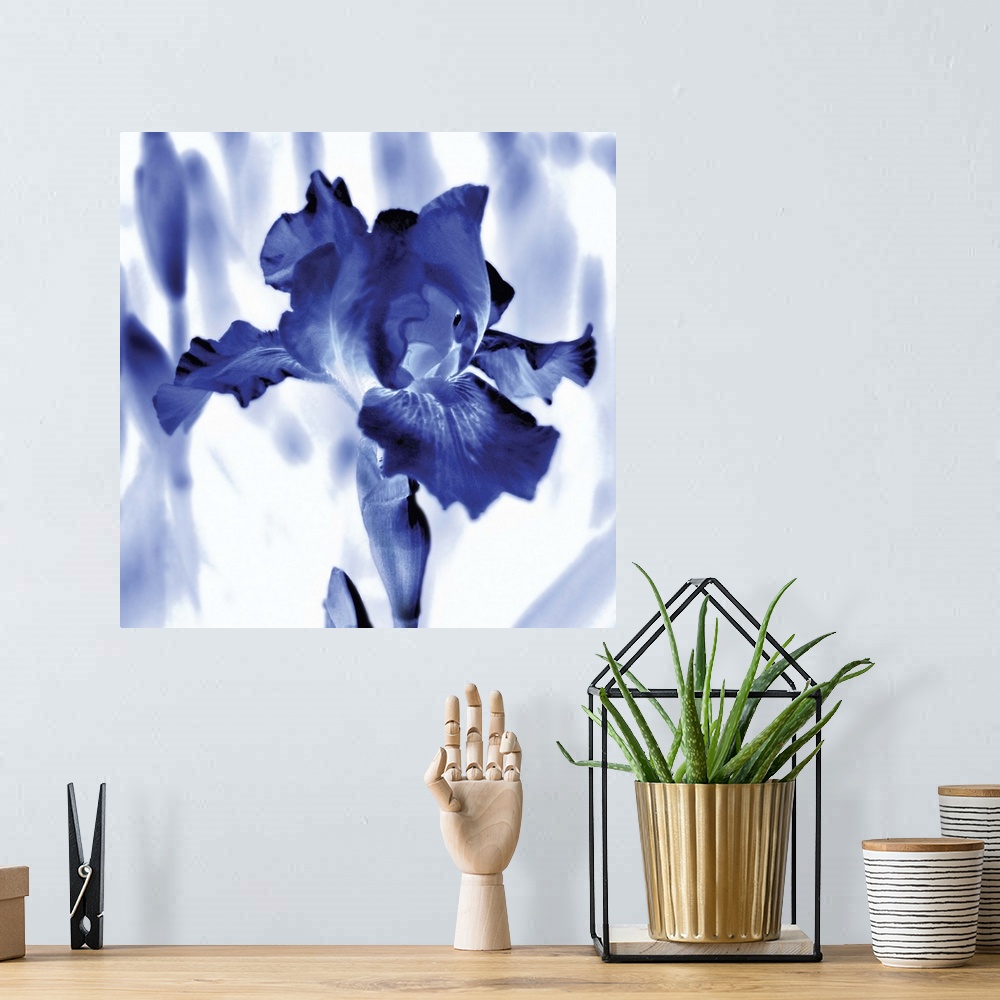A bohemian room featuring Square watercolor painting of an iris in indigo and white.