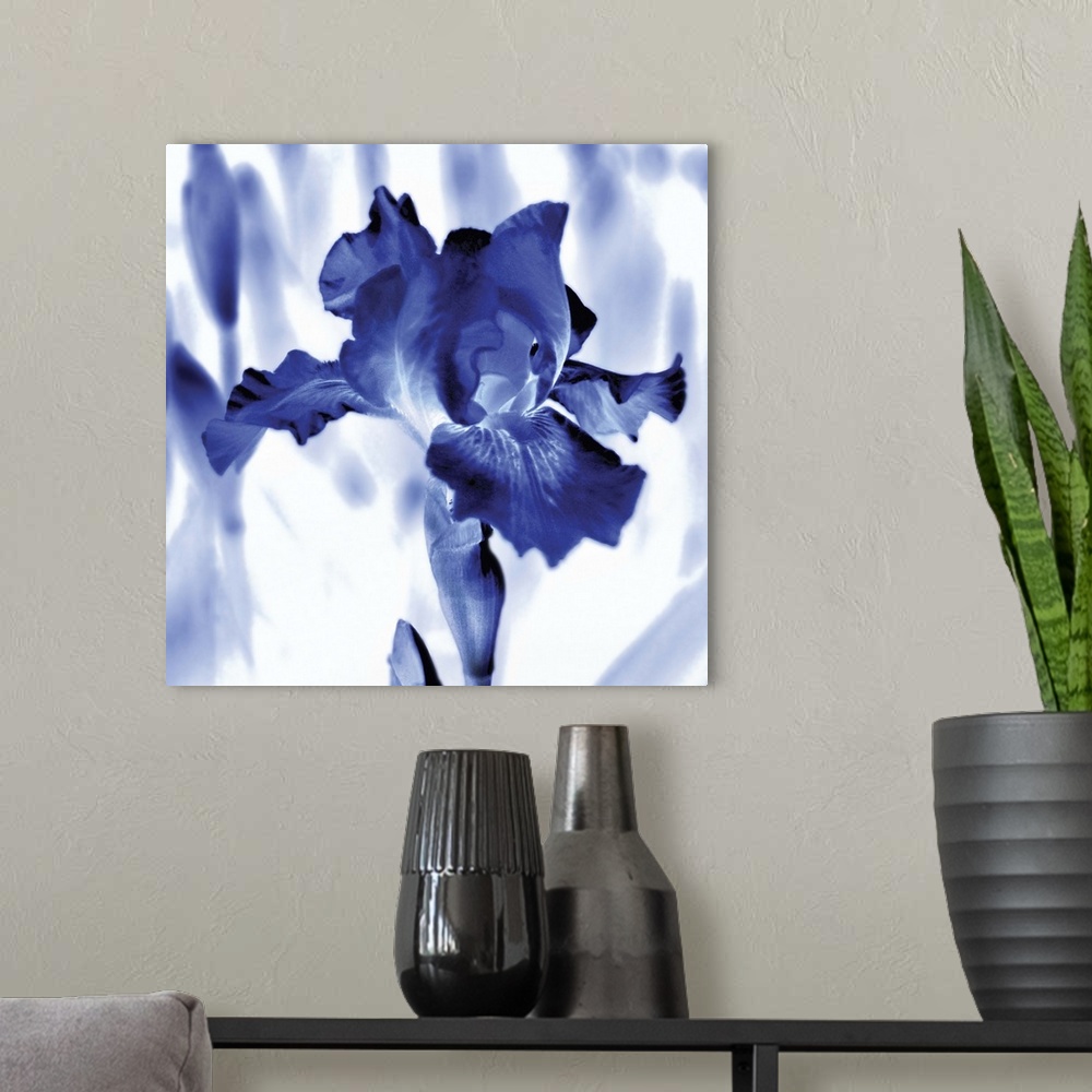A modern room featuring Square watercolor painting of an iris in indigo and white.
