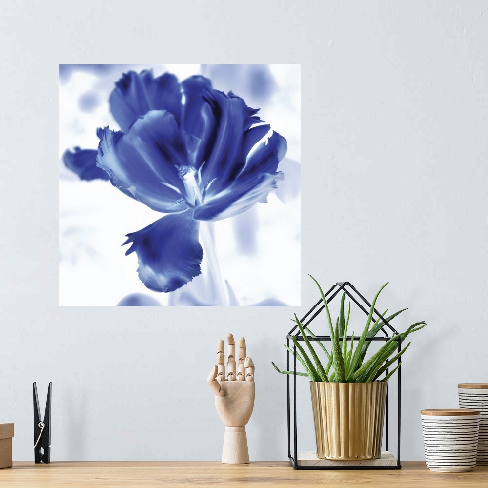 A bohemian room featuring Square watercolor painting of a tulip in indigo and white.