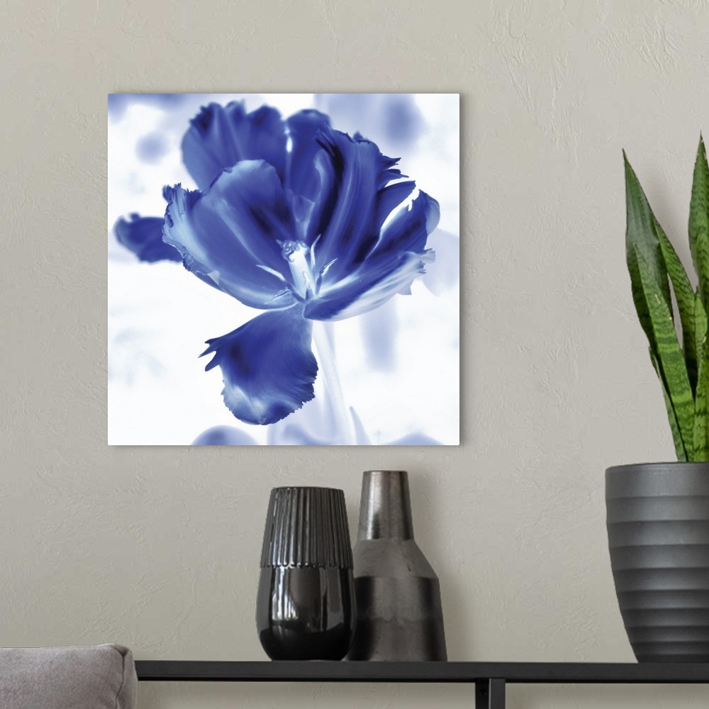 A modern room featuring Square watercolor painting of a tulip in indigo and white.