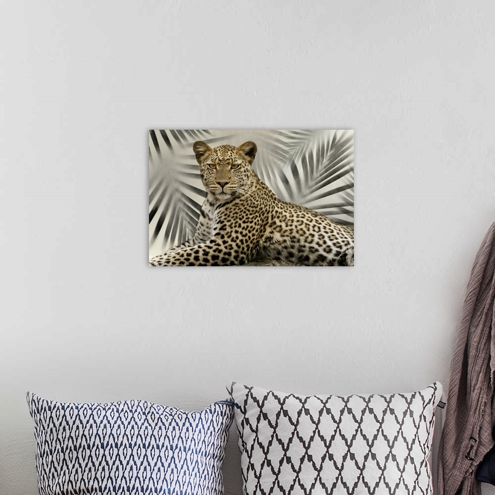 A bohemian room featuring Africa, Tanzania. A leopard poses on a large rock.