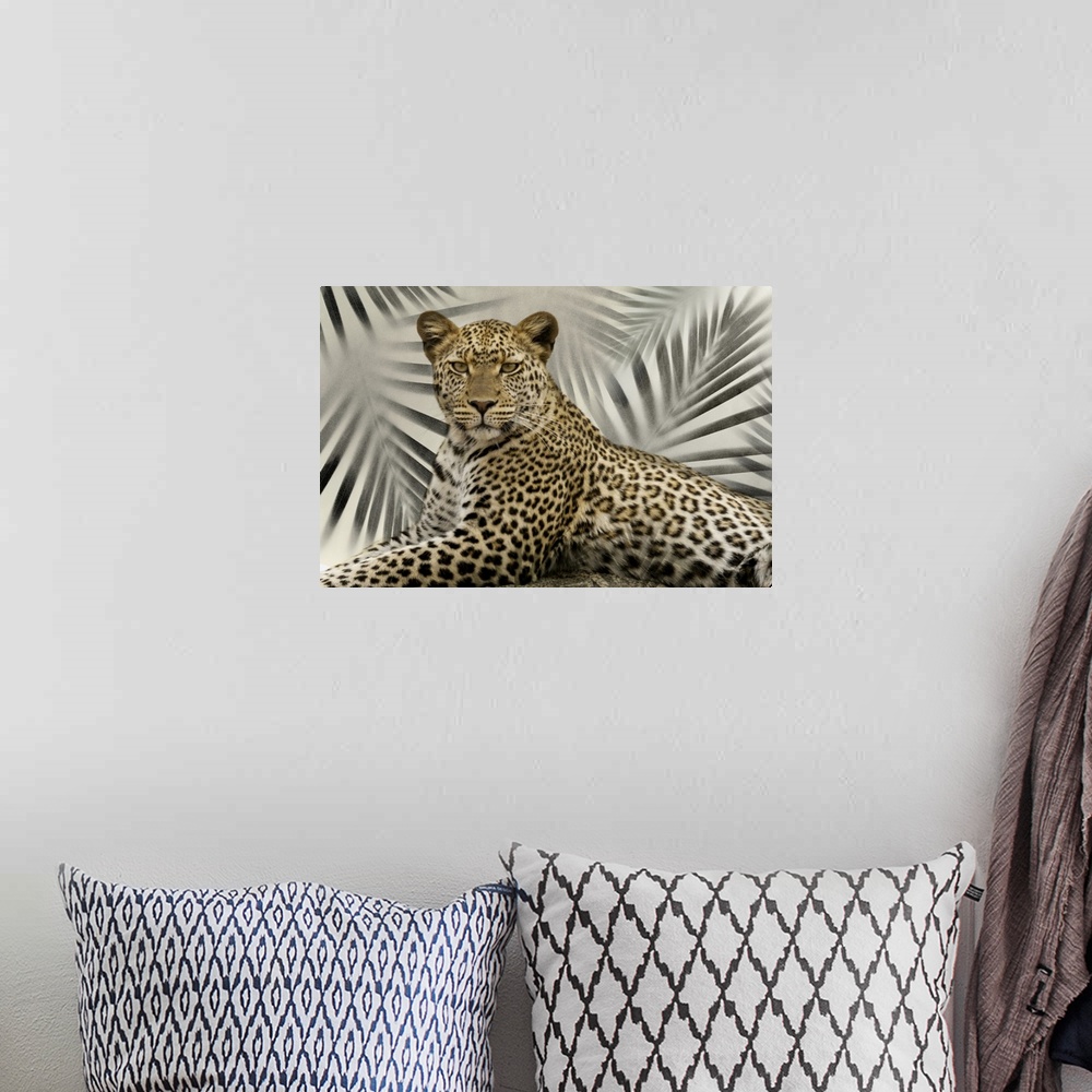 A bohemian room featuring Africa, Tanzania. A leopard poses on a large rock.