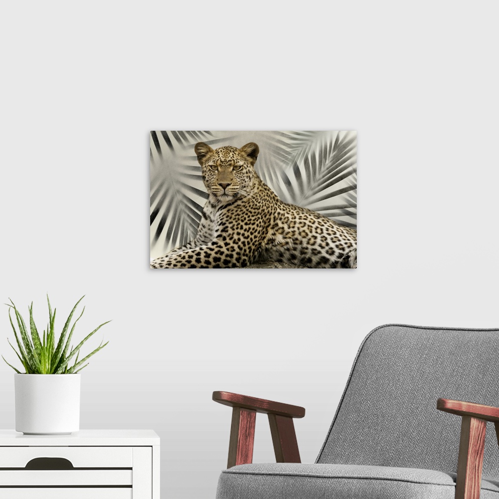 A modern room featuring Africa, Tanzania. A leopard poses on a large rock.