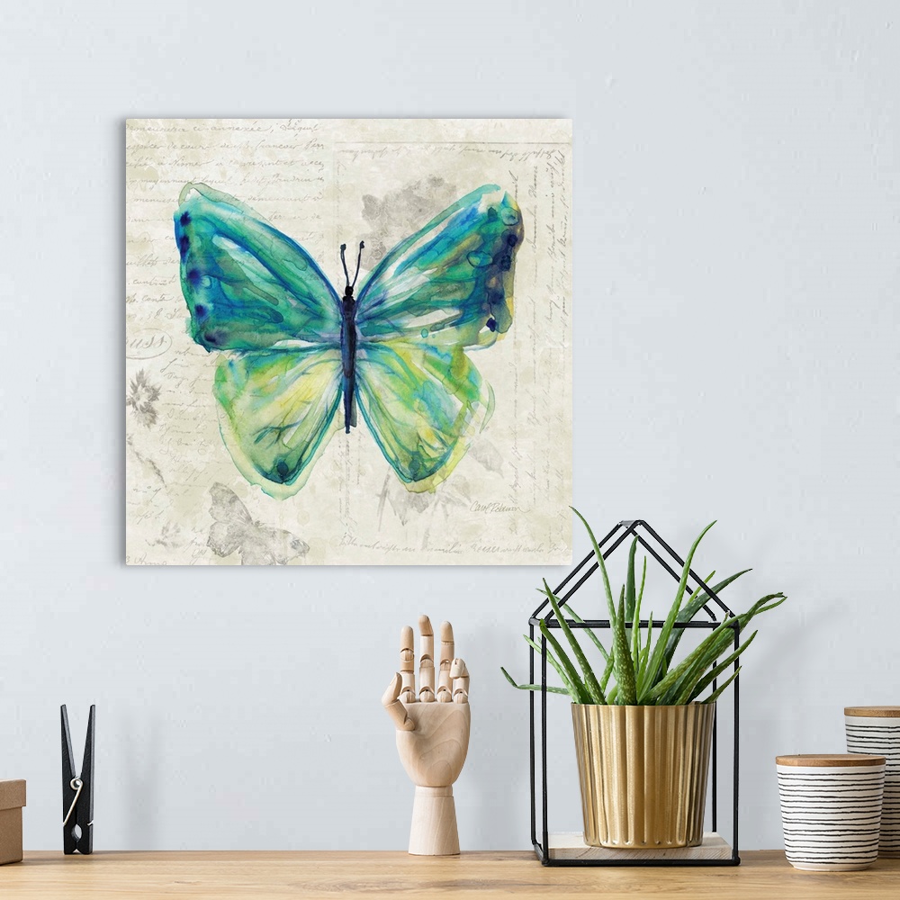 A bohemian room featuring Butterfly Sketch IV