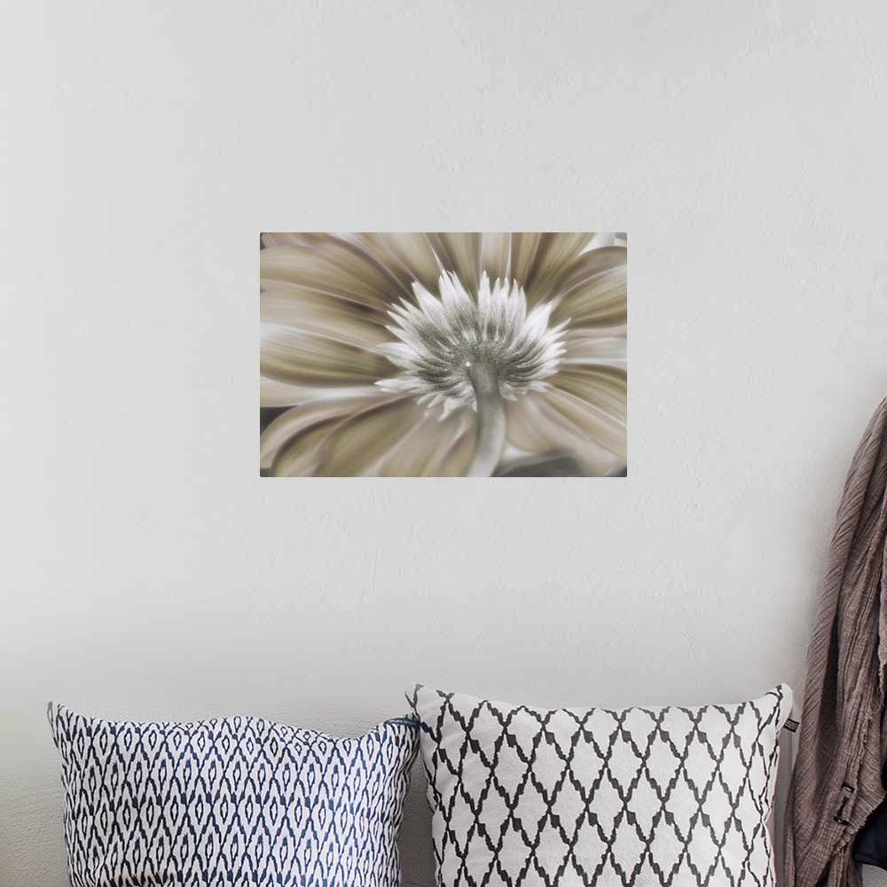 A bohemian room featuring Soft illustration of a flower with petals in shades of brown and white.