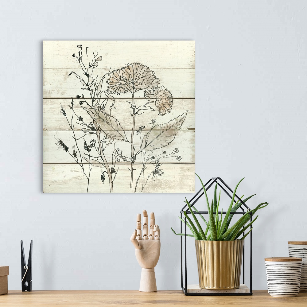 A bohemian room featuring Square illustration of dried flowers on a white wooden background.