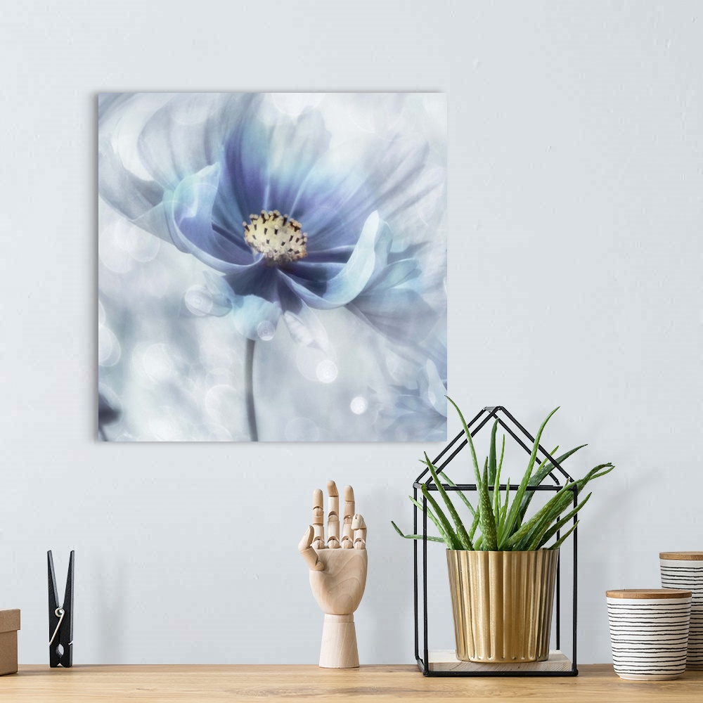 A bohemian room featuring Square, dream-like painting of a white and blue flower.