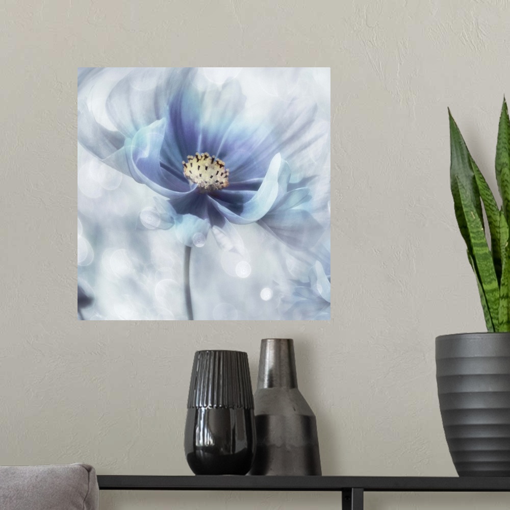A modern room featuring Square, dream-like painting of a white and blue flower.
