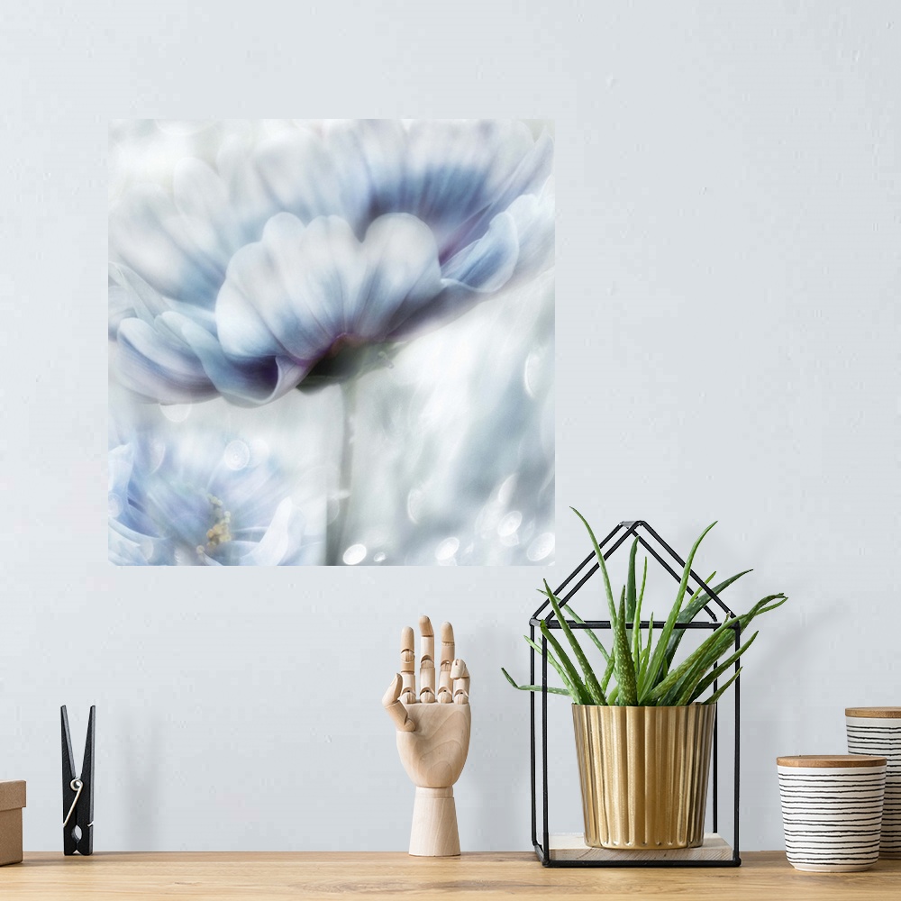 A bohemian room featuring Square, dream-like painting of a white and blue flower with hints of purple.