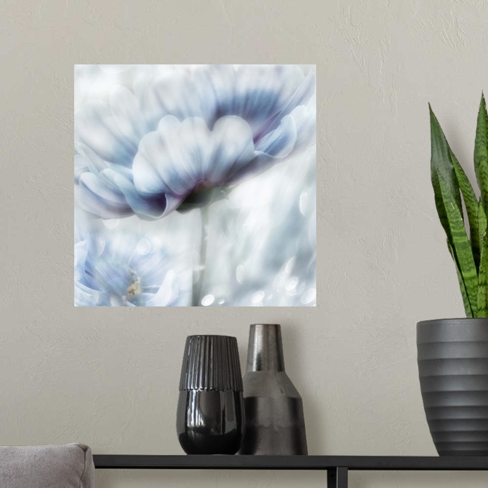 A modern room featuring Square, dream-like painting of a white and blue flower with hints of purple.