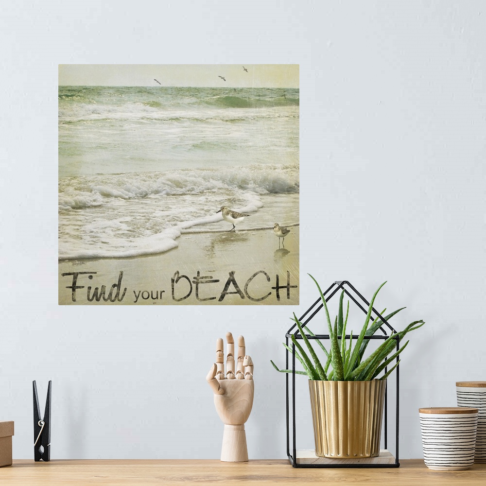 A bohemian room featuring Find Your Beach