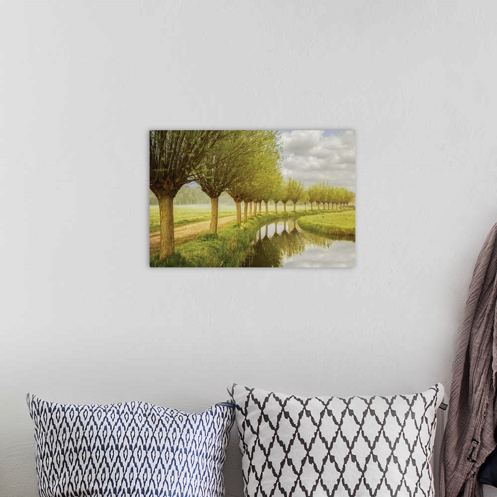 A bohemian room featuring Photograph of a row of trees along a canal in the countryside.