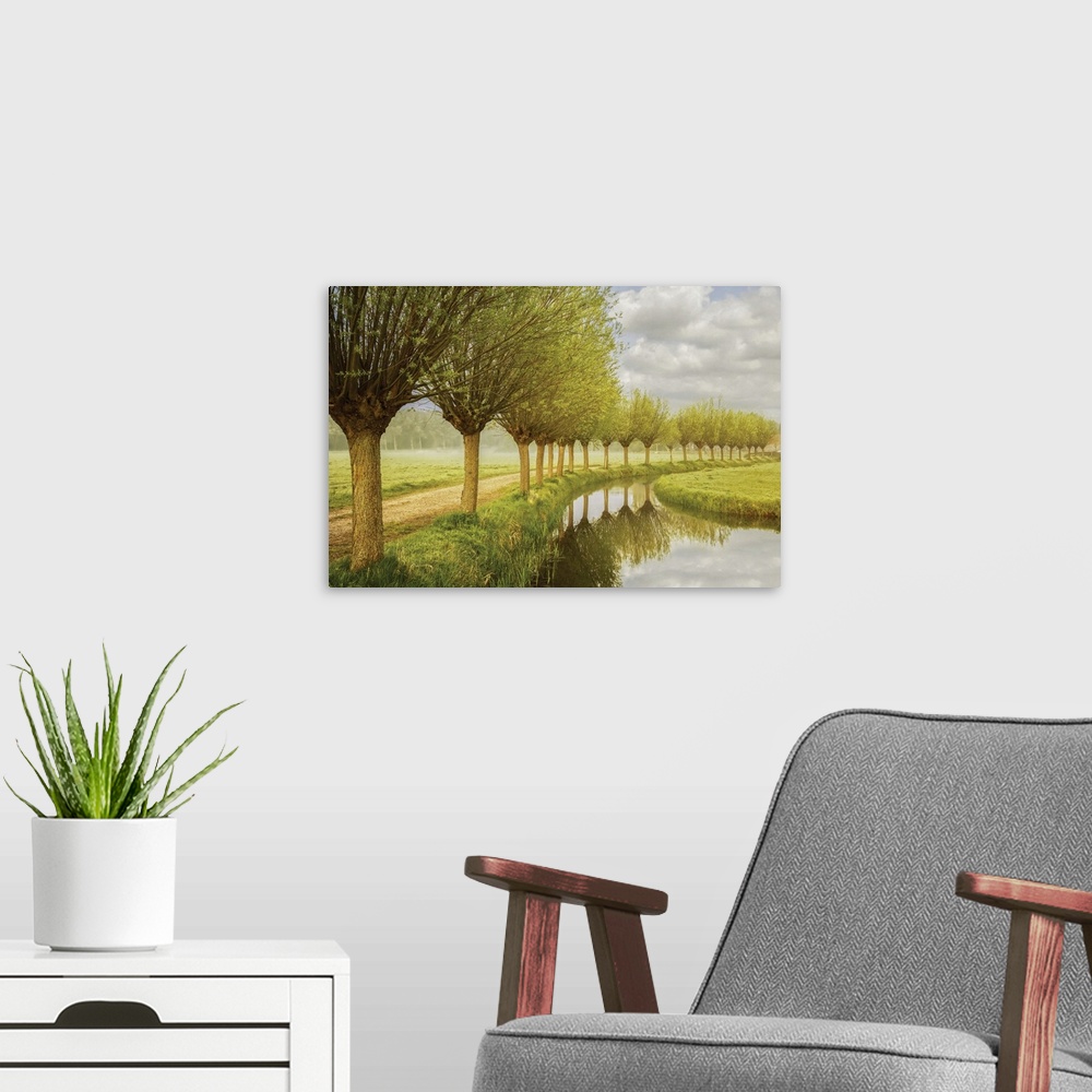 A modern room featuring Photograph of a row of trees along a canal in the countryside.
