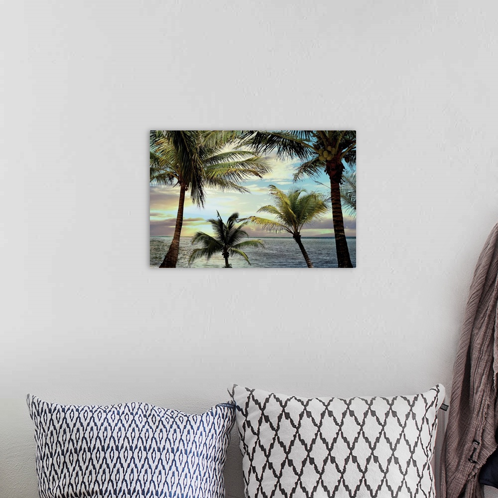 A bohemian room featuring Serene photo of palm trees living on a beach in Honduras while the sun is setting.