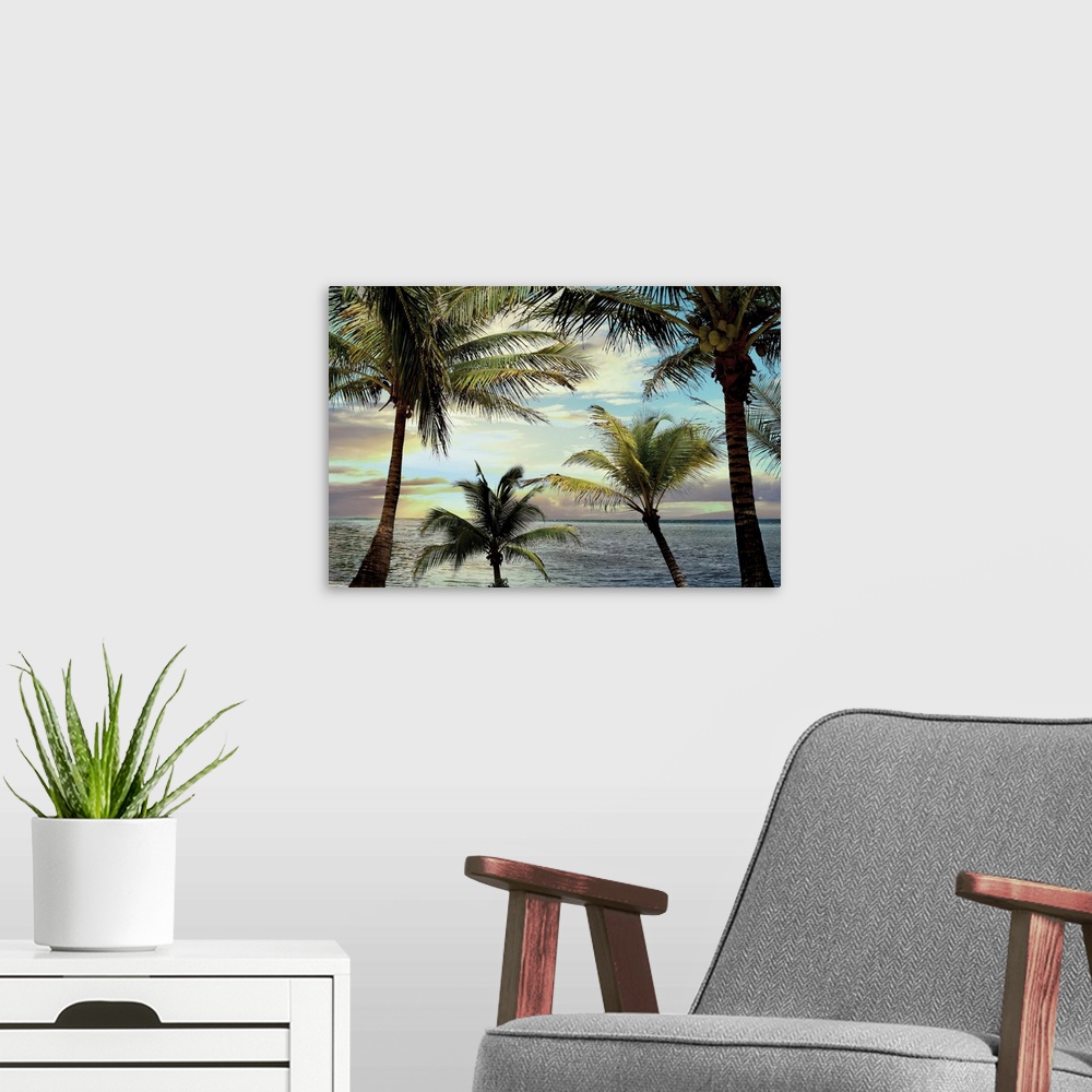 A modern room featuring Serene photo of palm trees living on a beach in Honduras while the sun is setting.