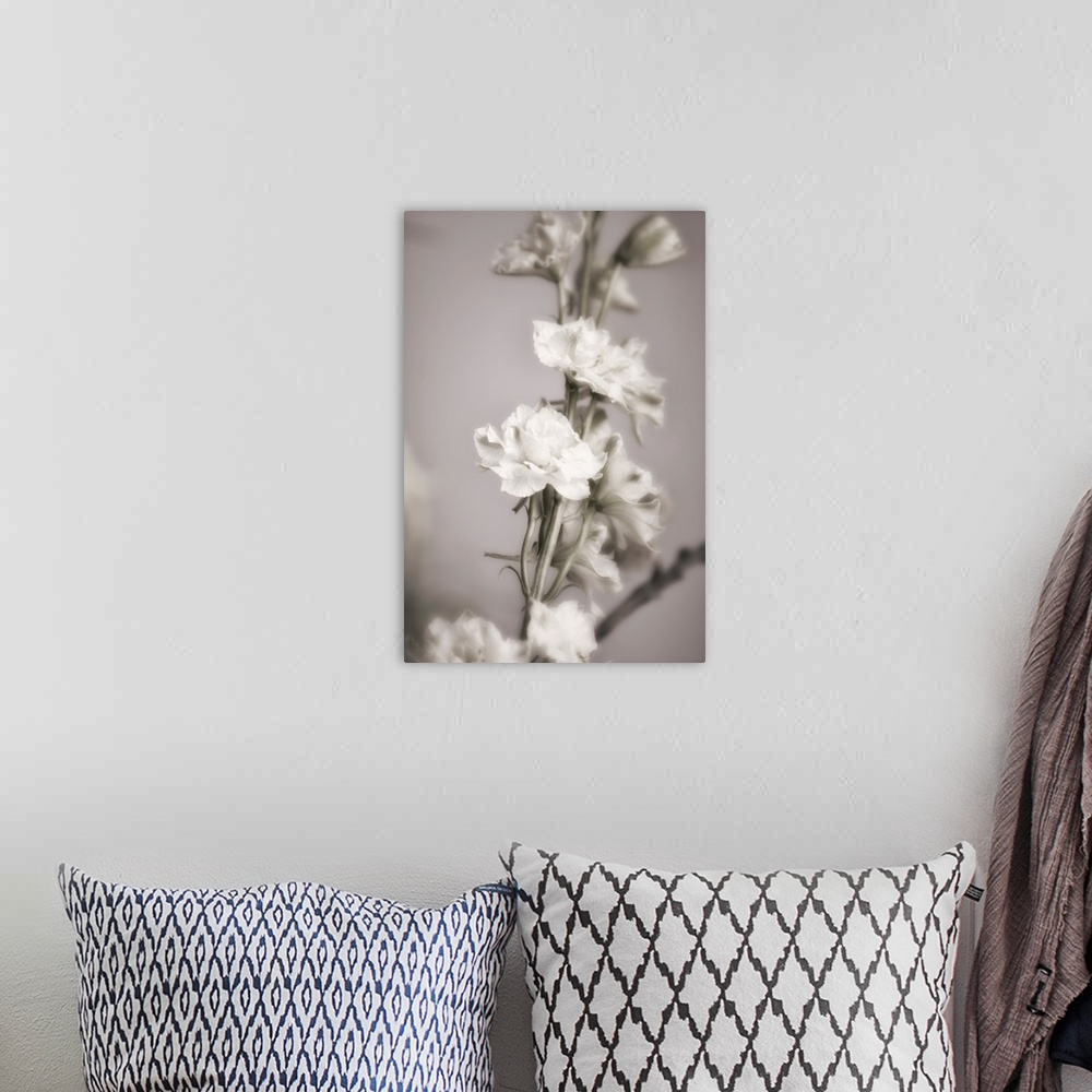 A bohemian room featuring Fine art photograph of a vine of white flowers and buds with a shallow depth of field.