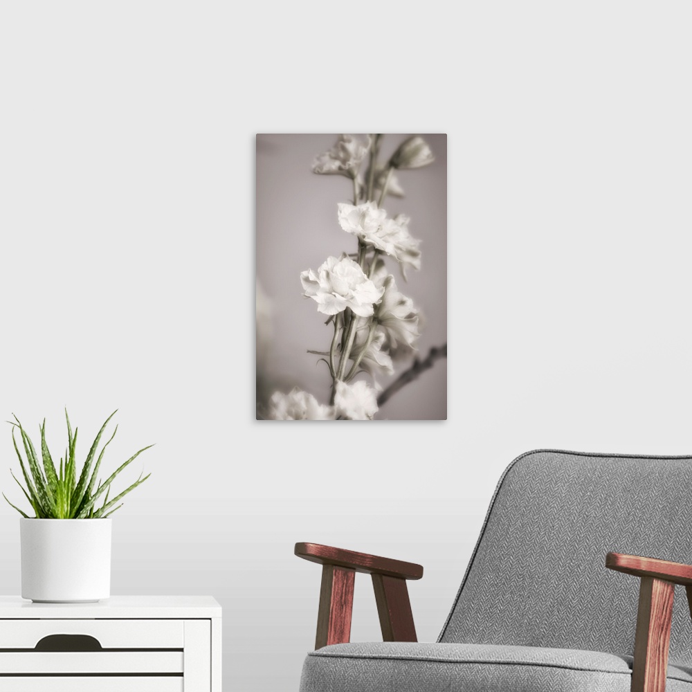 A modern room featuring Fine art photograph of a vine of white flowers and buds with a shallow depth of field.