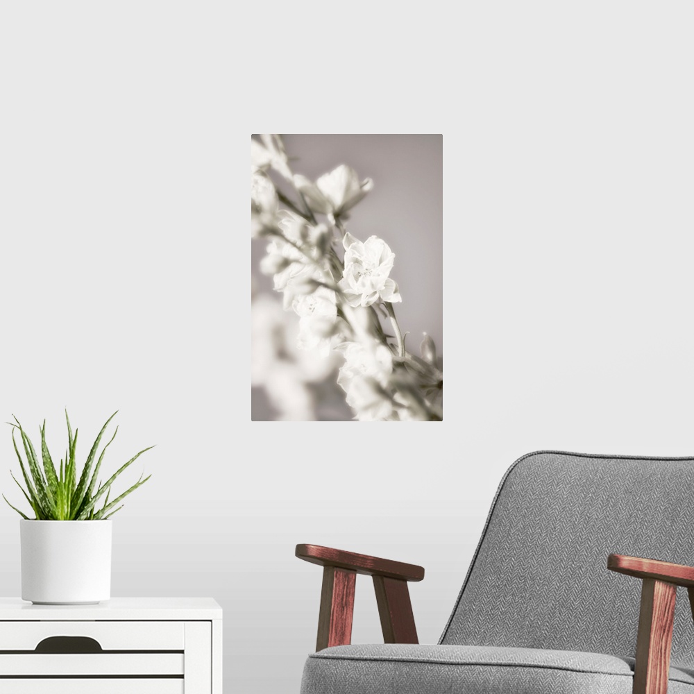 A modern room featuring Fine art photograph of a vine of white flowers and buds with a shallow depth of field.