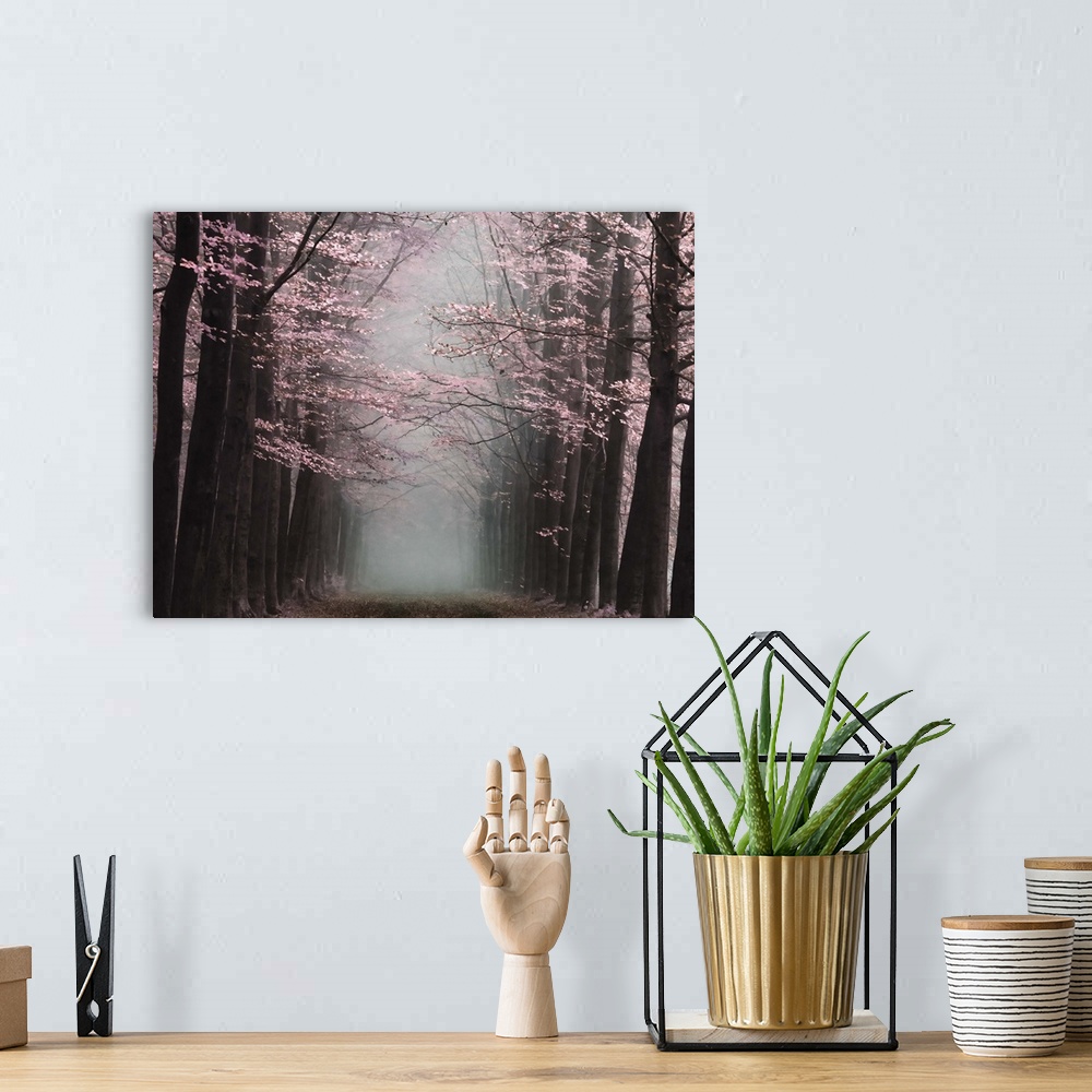 A bohemian room featuring Misty forest with vivid pink blossoms on dark trees.