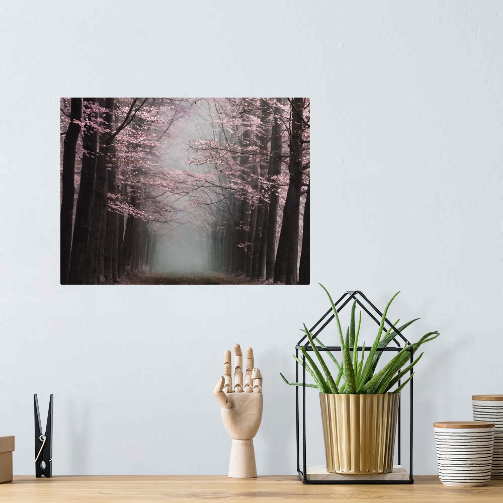 A bohemian room featuring Misty forest with vivid pink blossoms on dark trees.
