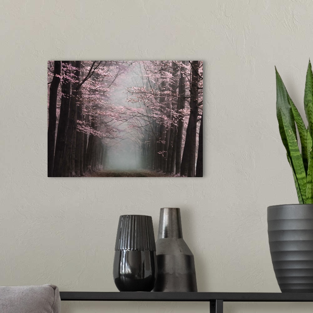 A modern room featuring Misty forest with vivid pink blossoms on dark trees.