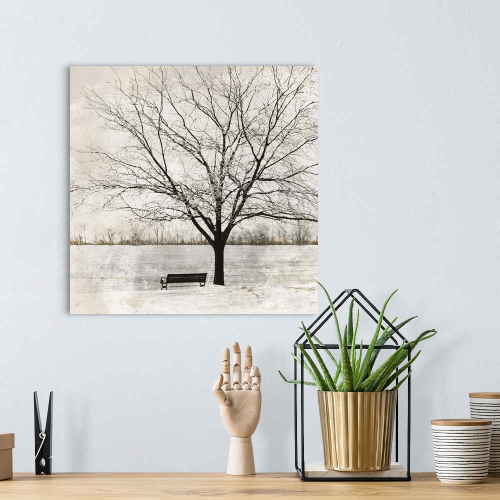 A bohemian room featuring A bench and a tree at the edge of a river in the winter.