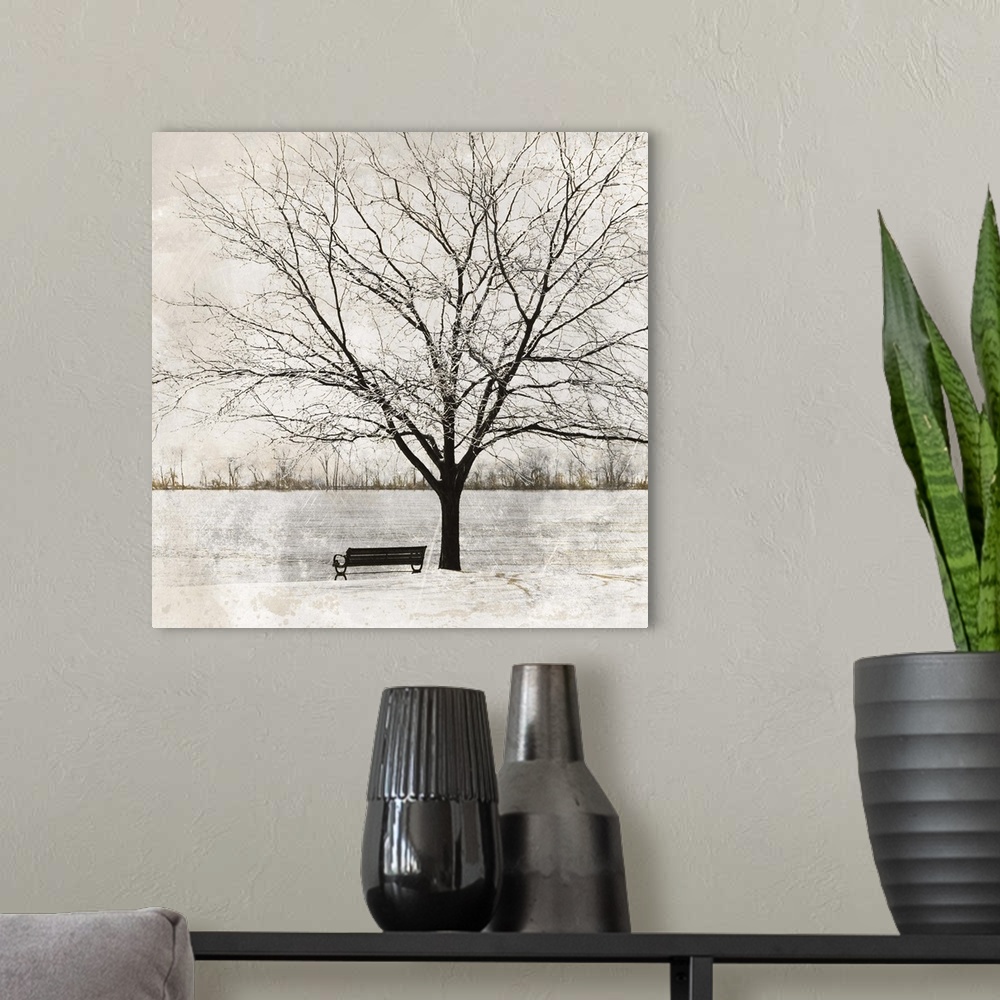 A modern room featuring A bench and a tree at the edge of a river in the winter.