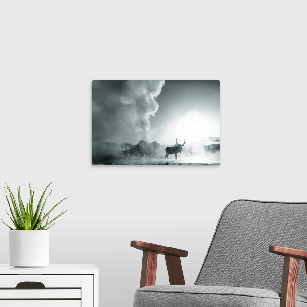 A modern room featuring Silhouette photograph of a caribou in a foggy landscape.