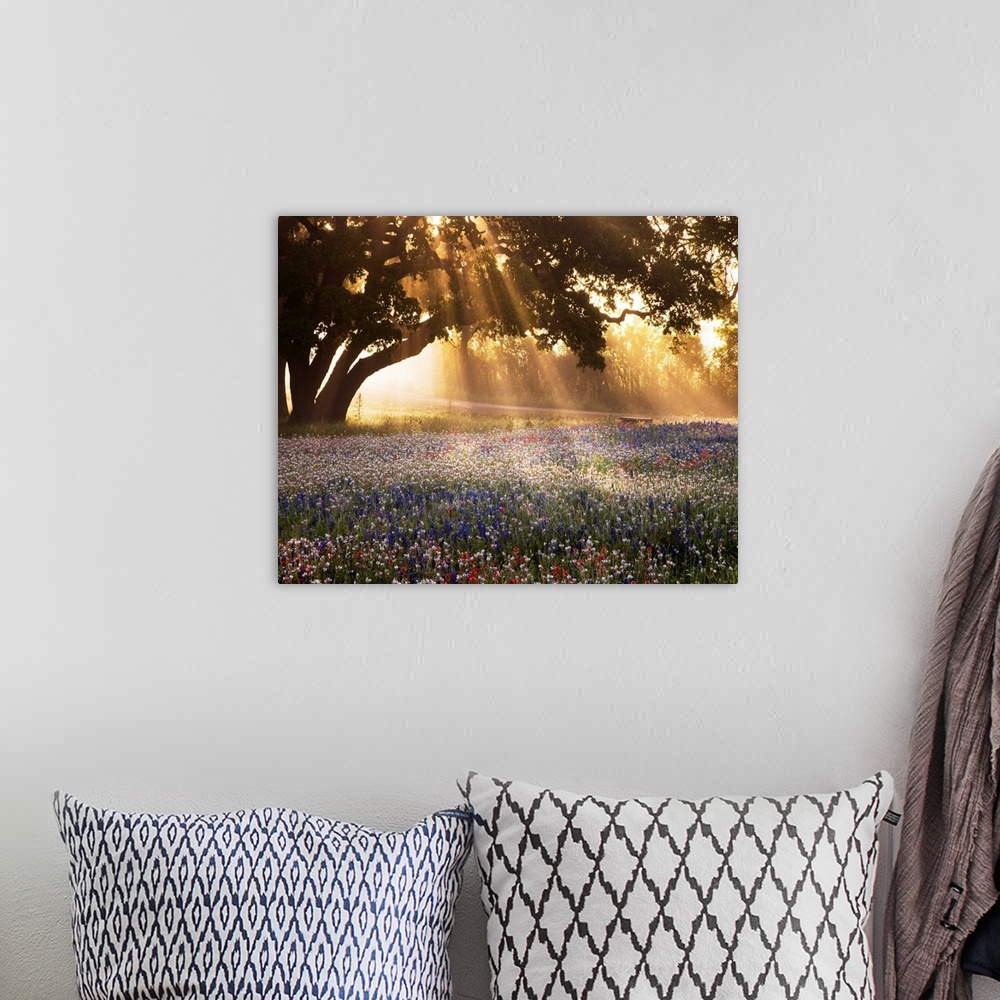 A bohemian room featuring Morning Meadow Sunrise