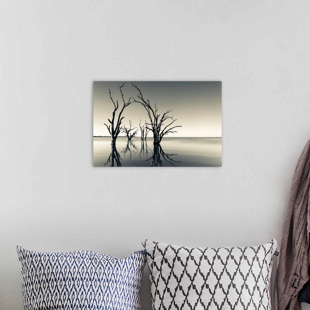 A bohemian room featuring Photograph of the Murray River in Australia with trees reflecting on the water and a vintage colo...