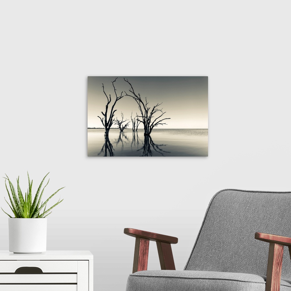 A modern room featuring Photograph of the Murray River in Australia with trees reflecting on the water and a vintage colo...