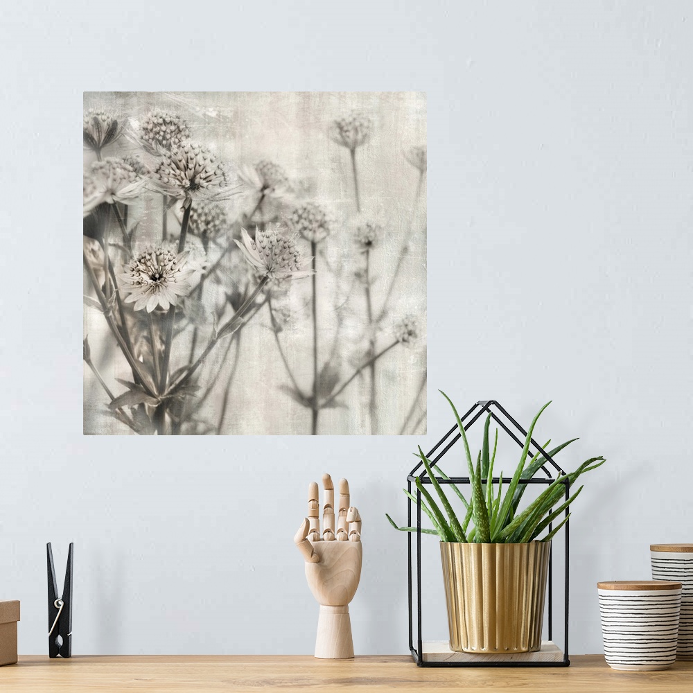 A bohemian room featuring Contemporary square art of flowers with a shallow depth of field in neutral tones.
