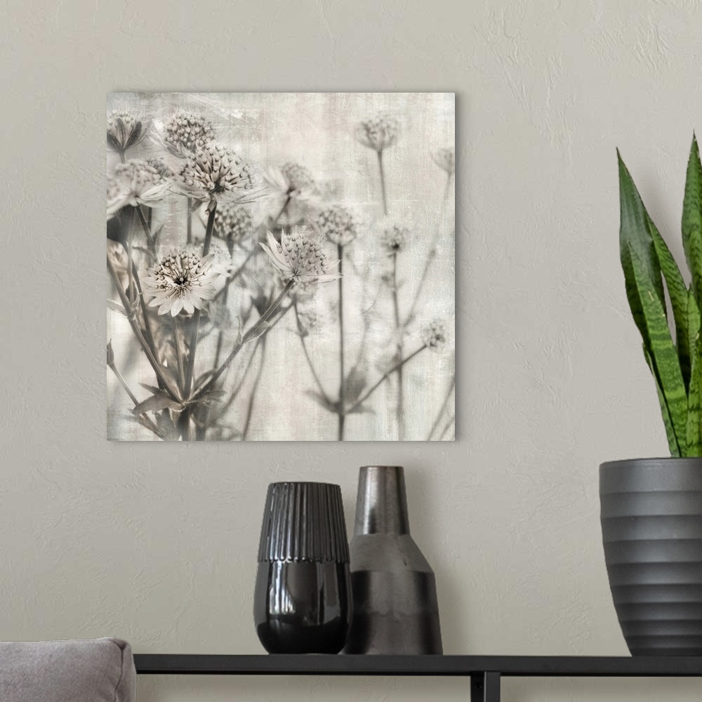 A modern room featuring Contemporary square art of flowers with a shallow depth of field in neutral tones.