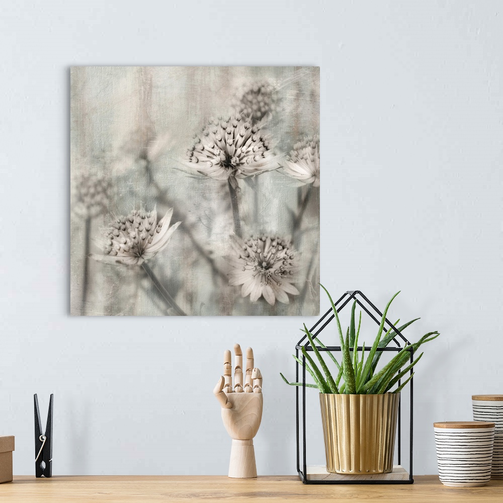A bohemian room featuring Contemporary square art of close-up flowers with a shallow depth of field in neutral tones.
