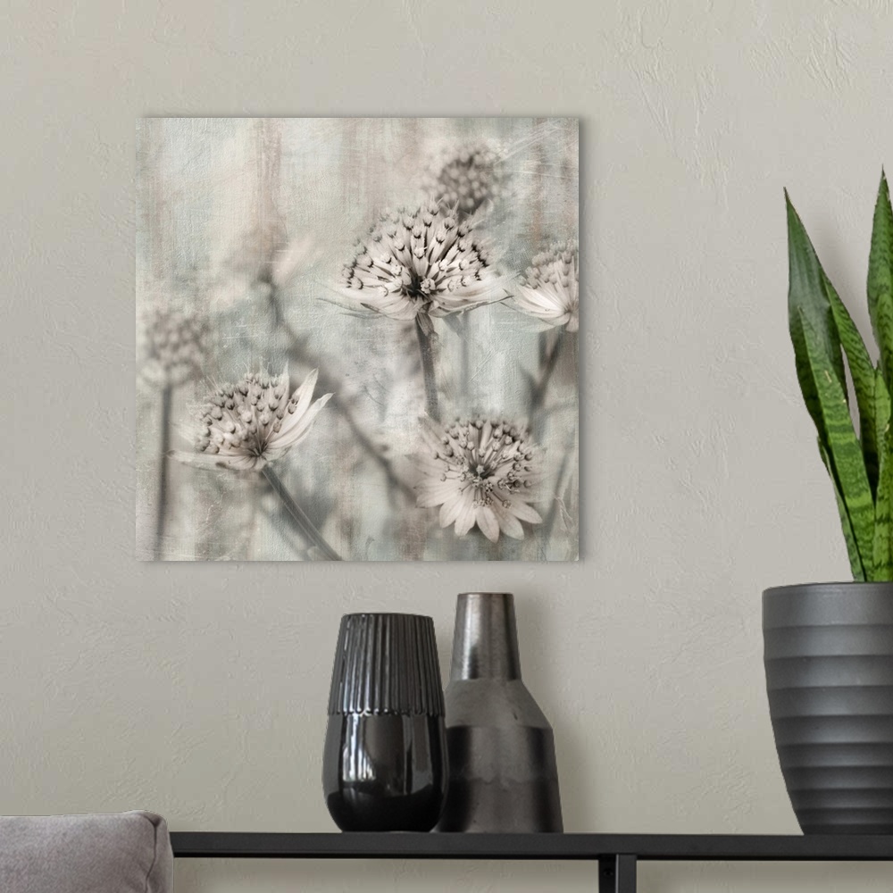 A modern room featuring Contemporary square art of close-up flowers with a shallow depth of field in neutral tones.