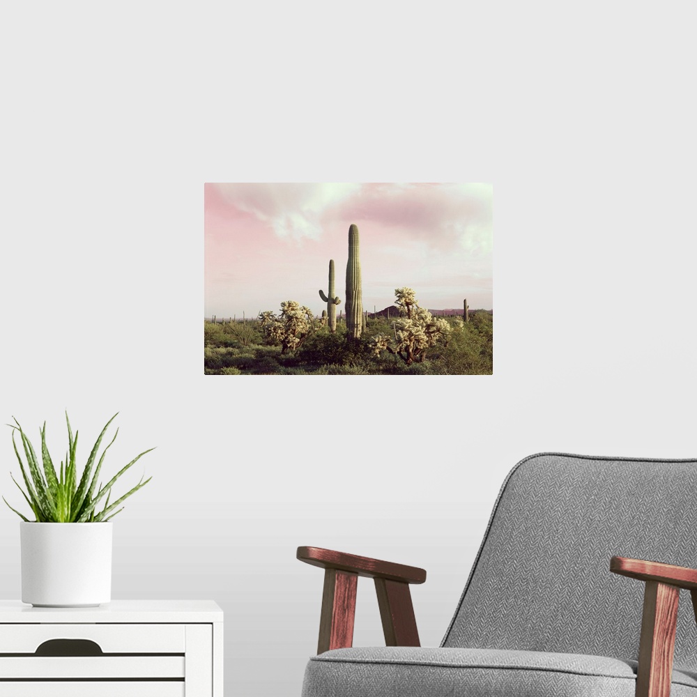 A modern room featuring Organ Pipe Cactus National Monument