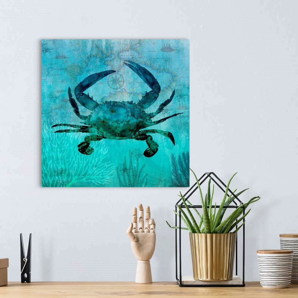 A bohemian room featuring Pacific Crab