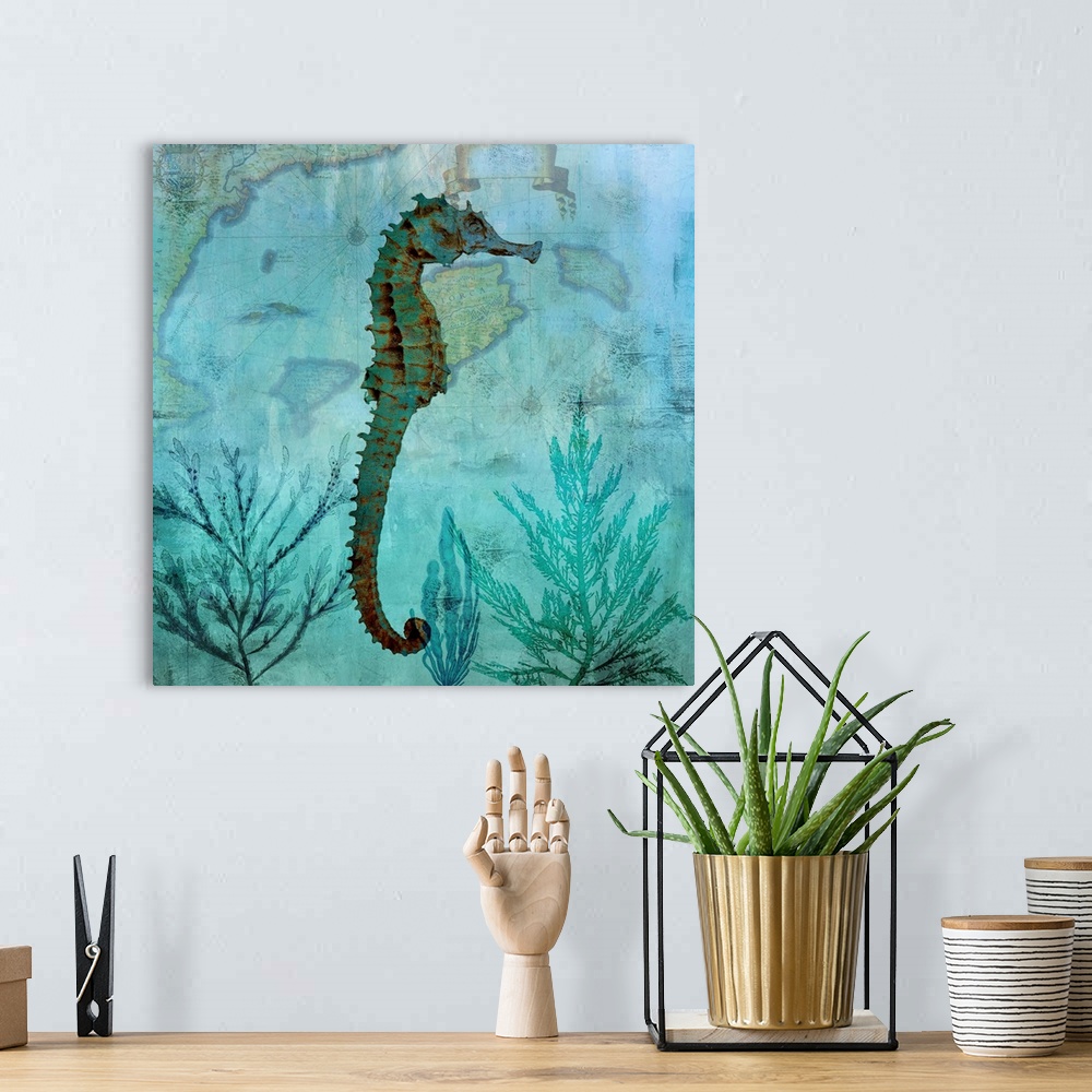 A bohemian room featuring Pacific Seahorse