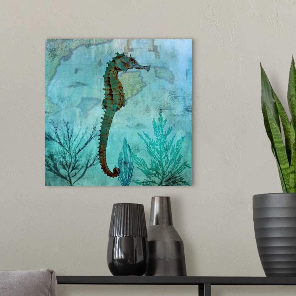 A modern room featuring Pacific Seahorse