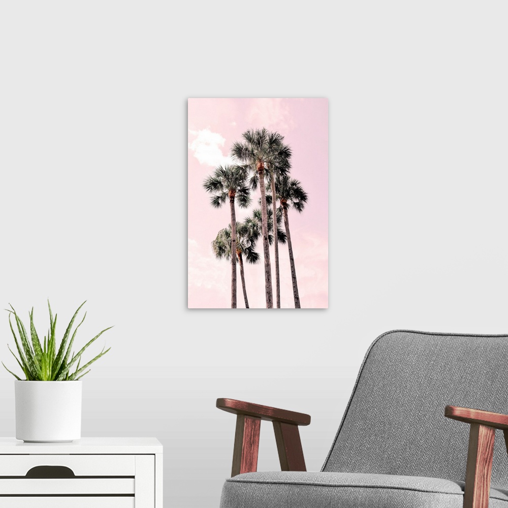 A modern room featuring Pink Tropics