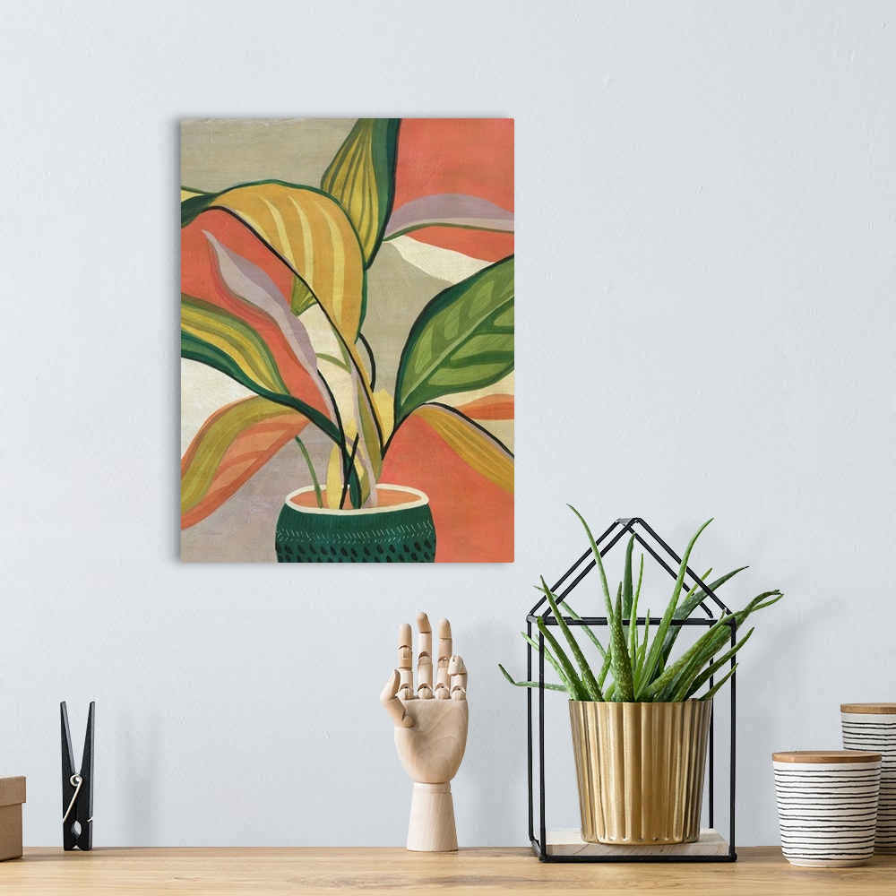 A bohemian room featuring Potted Bird Of Paradise